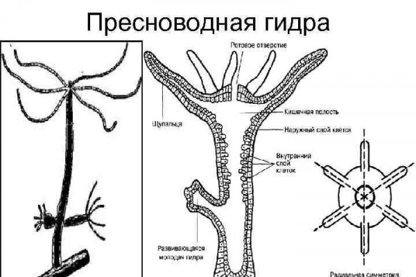 Кракен работает