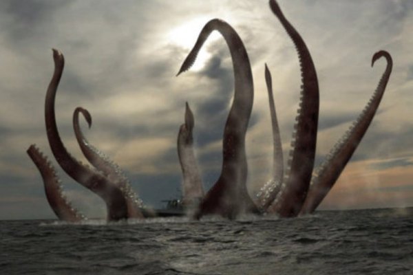 Kraken вход